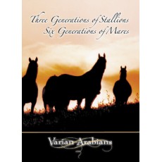 Three Generations of Stallions, Six Generations of Mares